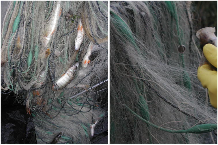 Well equipped local services are key to combatting illegal fishing activities