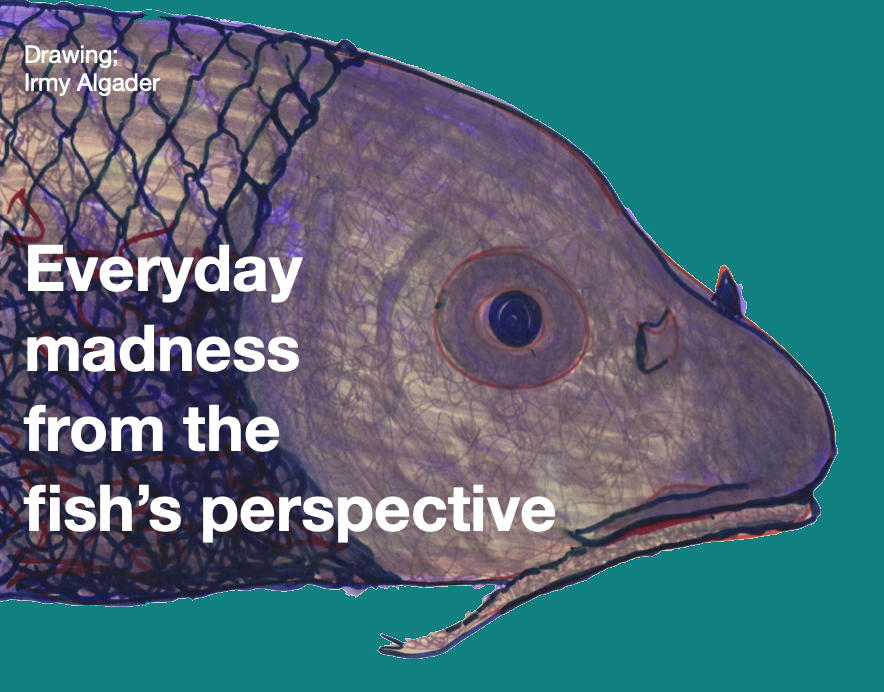 Der tägliche Wahnsinn